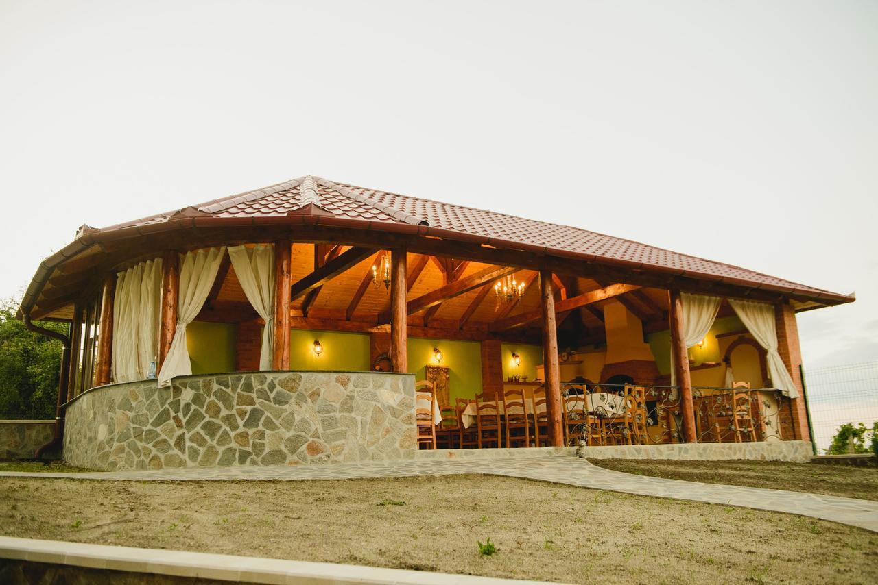 Cabana Dintre VII Apoldu de Sus Extérieur photo
